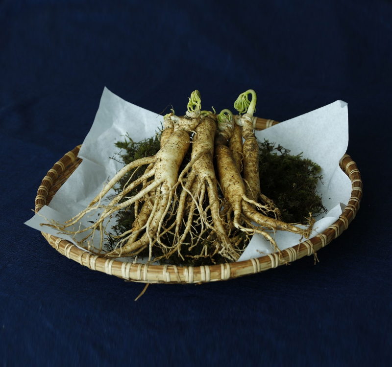 American Ginseng