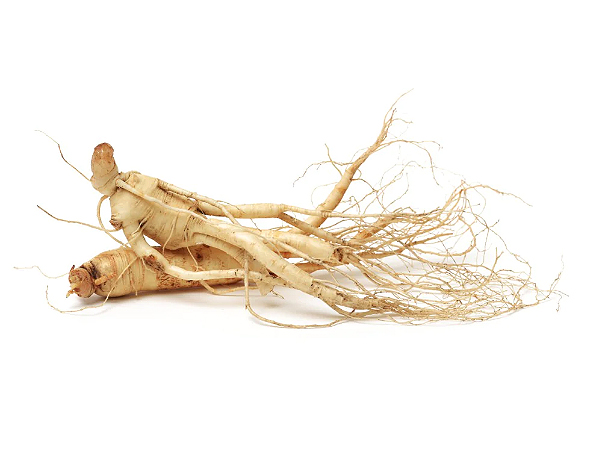 Ginseng Root Extract