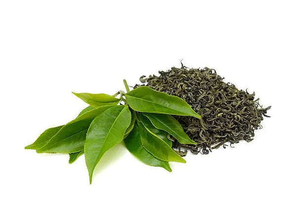 Green Tea Leaf Extract