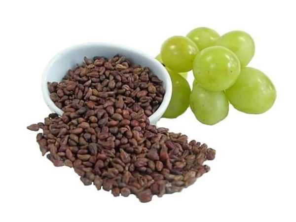 Grape Seed Extract